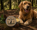 Pet Care Collection