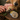 Paws-itively Moisturizing Paw & Nose Balm for Dogs - Leaning Oak Soaps